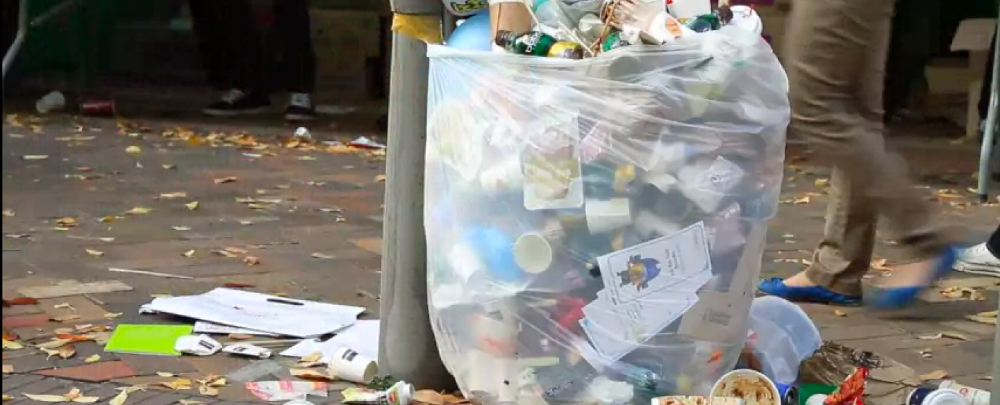 Garbage Bin overflowing with discarded coffee cups